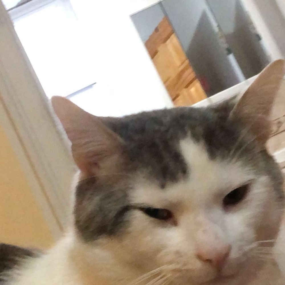 Meet your Posher, Jessenia